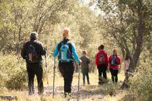 Camino Francés | 8 Días |  León a O Cebreiro | Hoteles de lujo y encanto