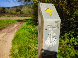 Camino Portugués | 8 días | desde Baiona a Santiago "variante espiritual"| Hoteles con Encanto y Lujo