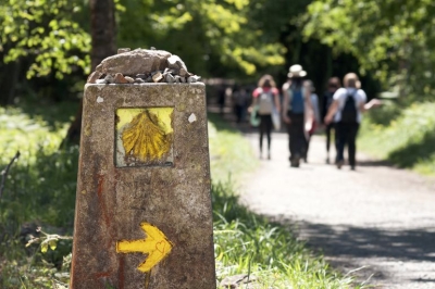 ¿Hacer los Últimos 100 km del Camino Francés en 7 o 8 Días?