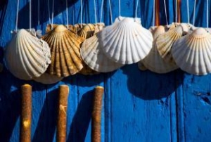 Camino del Norte |11 días | Desde Ribadeo a Santiago