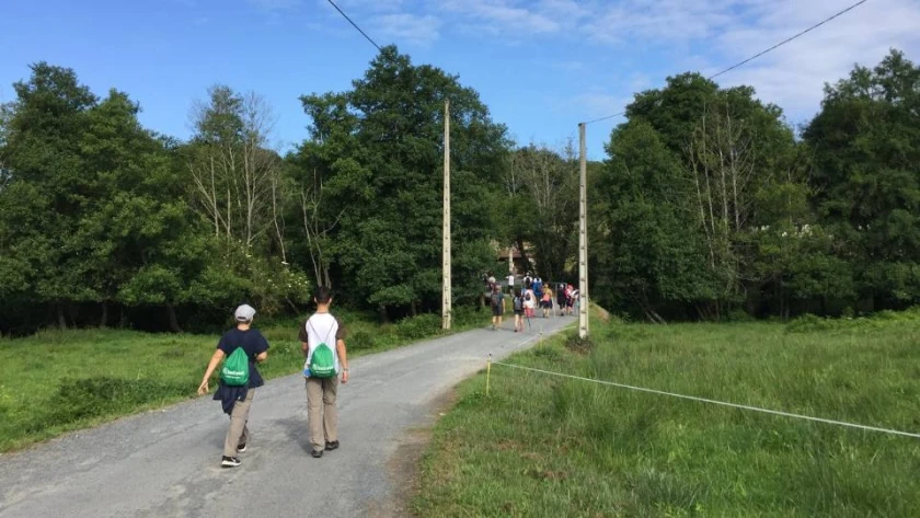 Hacer el Camino de Santiago en Grupo