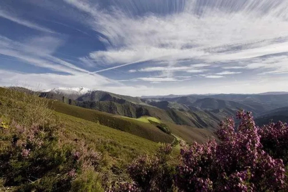 Naturaleza y Paisajes en el Camino de Santiago: Descubriendo la Belleza Natural de España