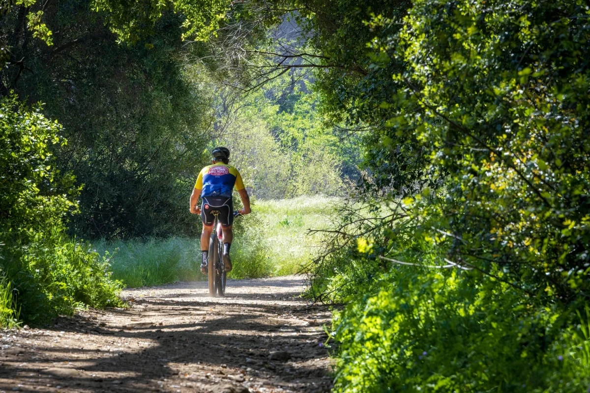 CAMINO FRANCÉS EN BICICLETA (León - Santiago)