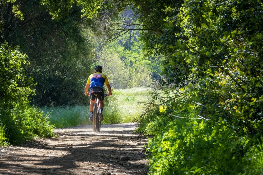 CAMINO FRANCÉS EN BICICLETA (León - Santiago)