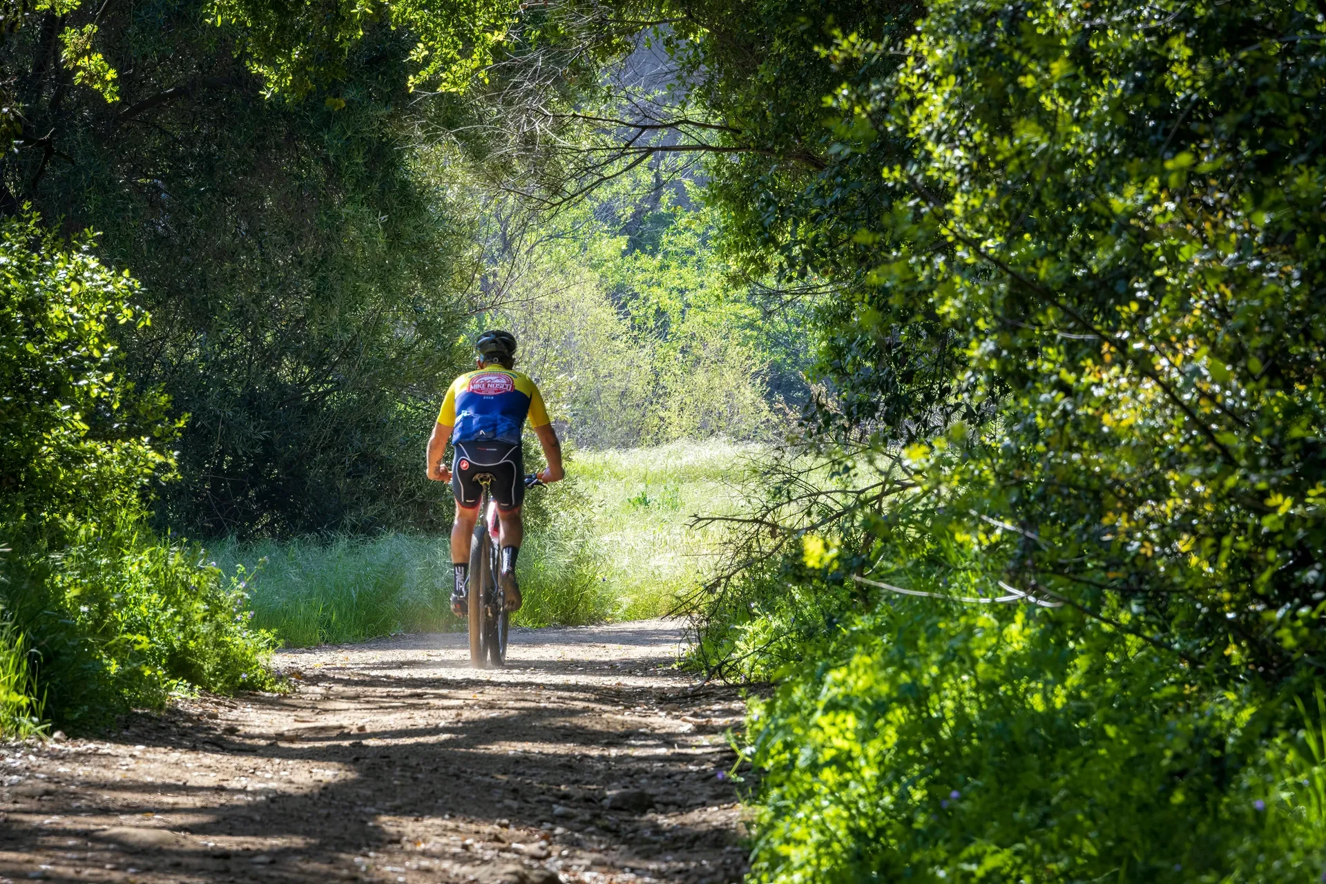 CAMINO FRANCÉS EN BICICLETA (León - Santiago)