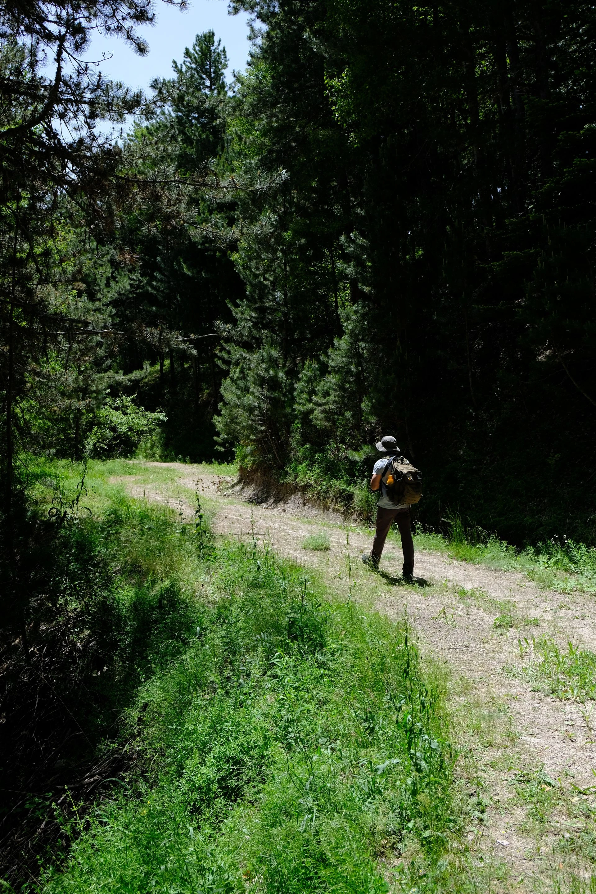 CAMINO PORTUGUÉS (Tui - Santiago) 