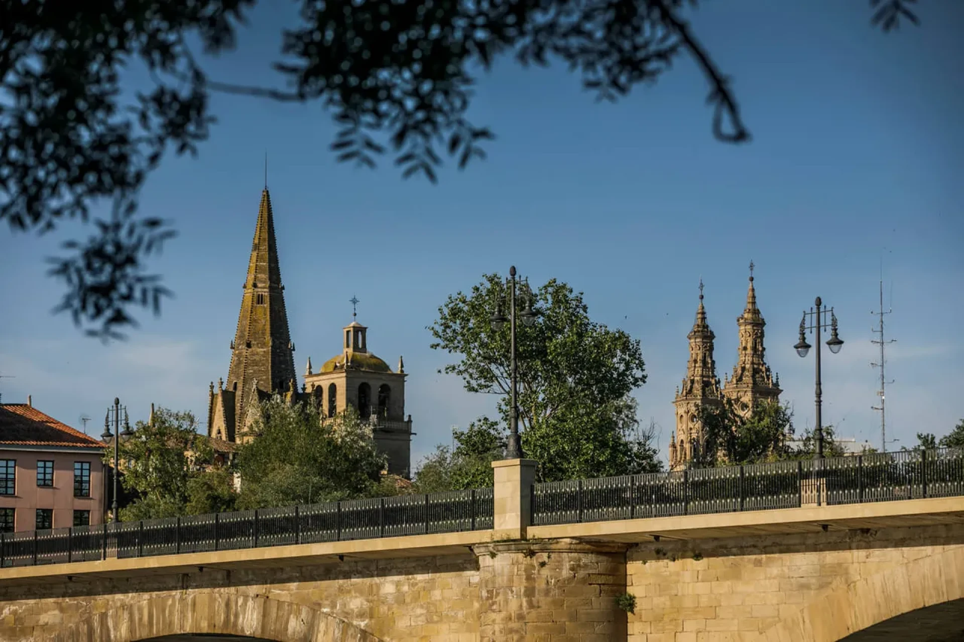 CAMINO FRANCÉS (Logroño a  Burgos) 
