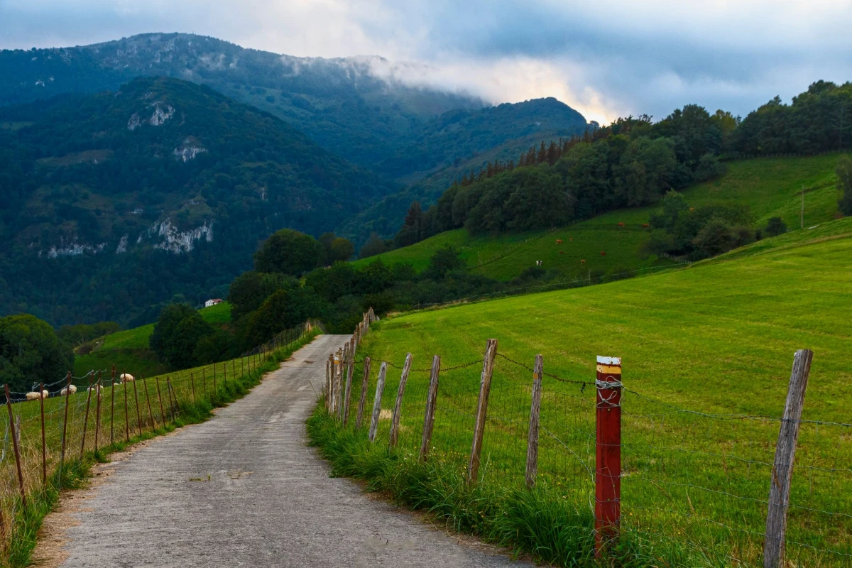 CAMINO PRIMITIVO (Oviedo-Lugo) 