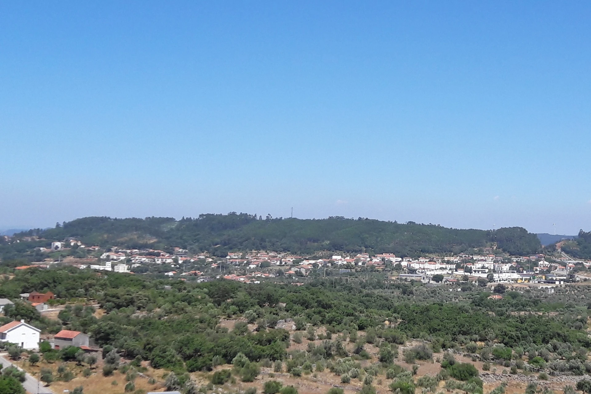 Camino Portugués - Etapa 7